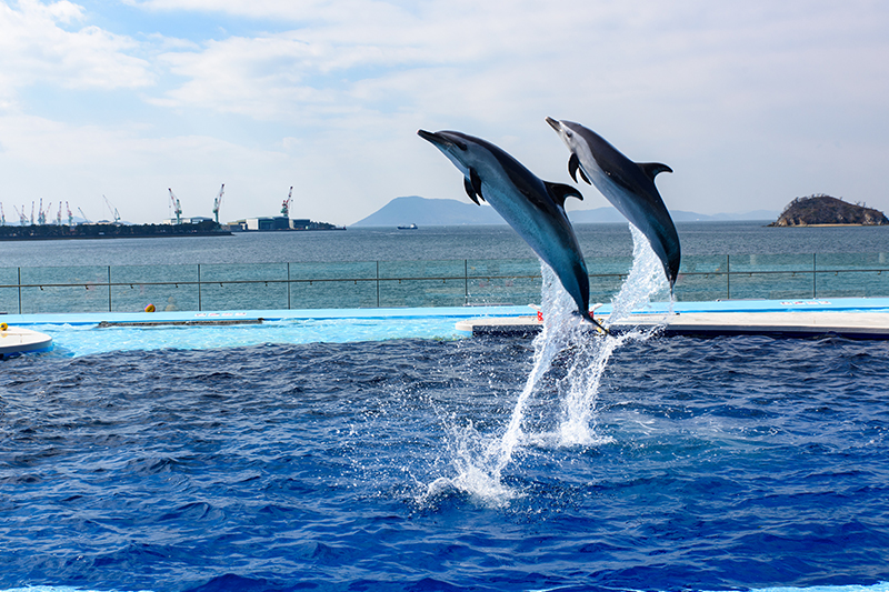 四国水族館